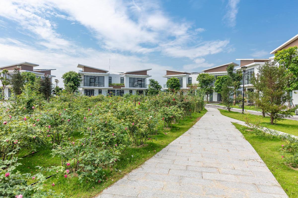 Khu DIC Nam Vĩnh Yên City